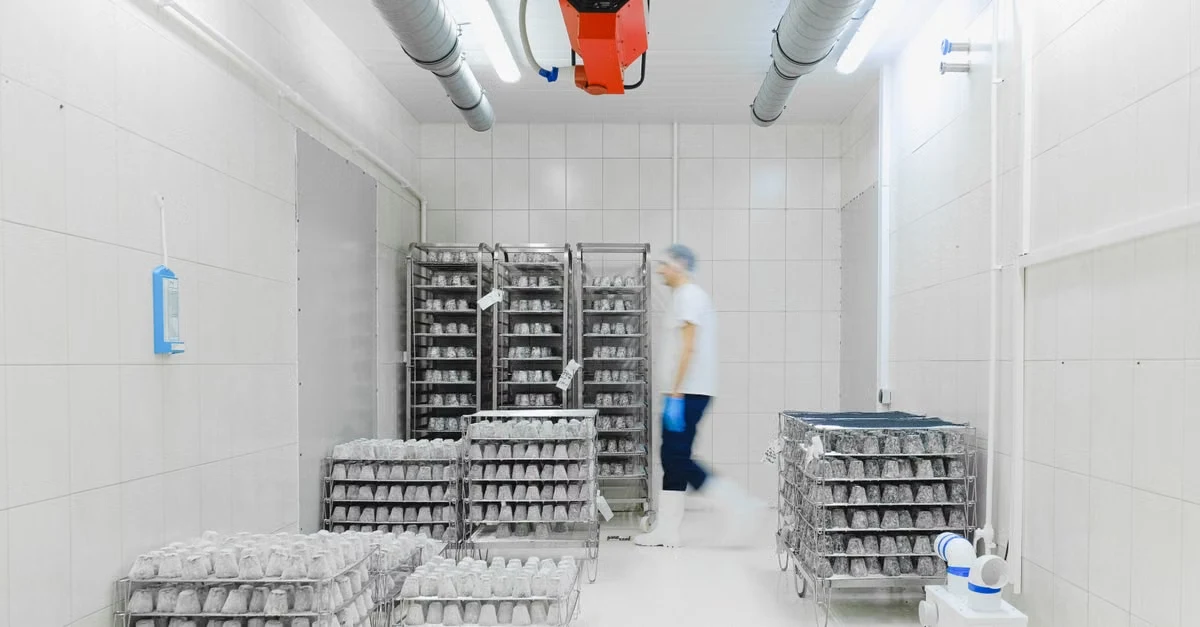  Commercial refrigeration storage with stacked egg cartons showing how cool temperatures extend compostable product shelf life.
