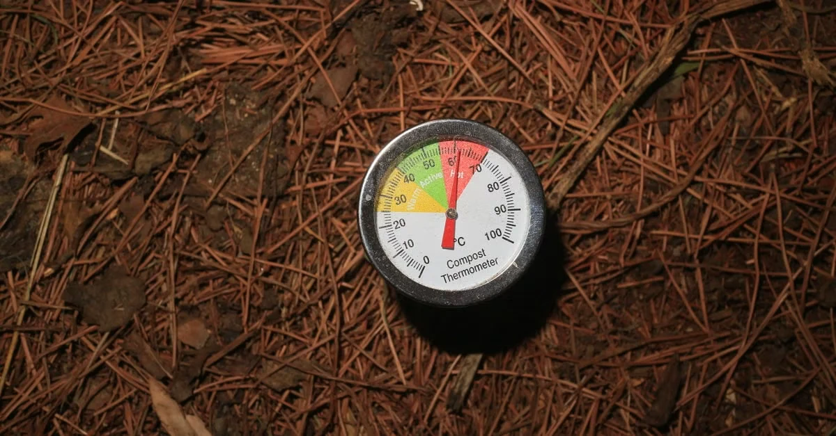 Compost thermometer showing temperature gauge on brown decomposing mulch and organic matter for composting process monitoring.